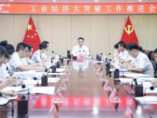 海南省东方市部署推进工业经济大突破工作