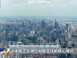 非洲学者：世界已经全球化 美关税政策伤人害己