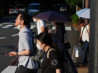 日本百日咳持续蔓延 今年累计病例数超6万例