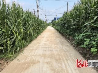 告别扬尘泥泞！唐山市教育局下沉工作队解决周庄村道路隐患