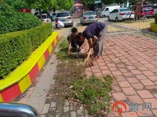 枣庄市市中区龙山路街道：除杂草 换新颜