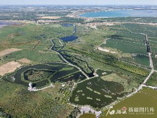 治水兴水看新疆丨玛纳斯国家湿地公园：从“一条小溪”到“候鸟天堂”