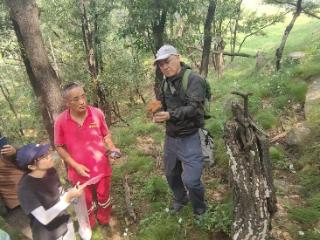 泰山野生赤灵芝菌本进入国家级科学研究平台