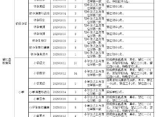 望江县公开选调94名教师