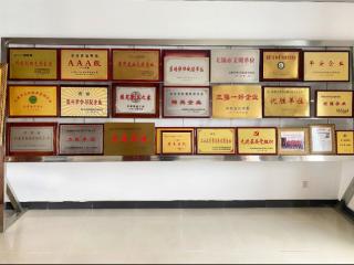 阳生化工：党建+安全+乡村振兴，新时代民爆企业的责任答卷