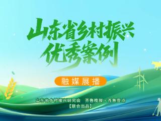 党建统领 融合发展 探索乡村共同富裕新路径