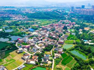 富村惠民“微杠杆”撬动乡村振兴加速度——厦门海沧区探索可持续发展新路径