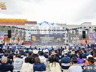 2025阿尼玛卿生态体育文化节拉开帷幕