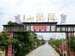 青岛平度：让村民过上更加幸福美好的生活一一记乡村全面振兴中的凤凰山村党支部
