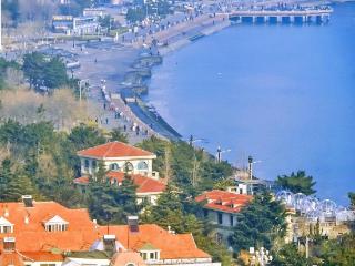 海砚时评｜威海跻身全国百强城市：站稳脚跟，前路更阔