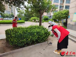 潍坊潍城：人居环境整治，助力城乡提“质”增“颜”
