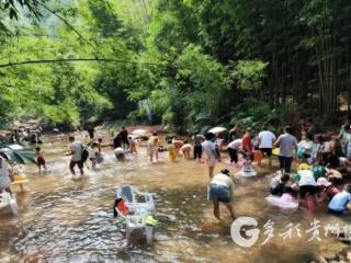跳水摸鱼两不误 赤水四洞沟景区打造清凉夏日体验