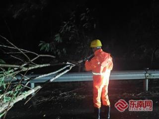 防抗台风保畅通！龙岩高速彻夜清理倒伏树枝