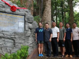 全国生态日 | 古树旁立起司法码，凯里68株百年楠木添智慧守护