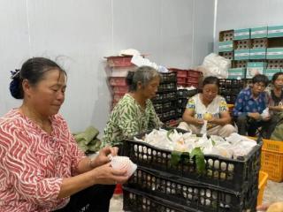 四川简阳：“桃”醉天下客！地理标志产品晚白桃甜蜜来袭