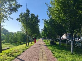 “合肥今天的天好蓝啊！” 气象部门：未来几天晴热在线