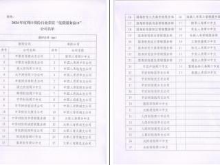 平安产险周口中心支公司荣获“周口市保险业2024年度优质服务窗口”
