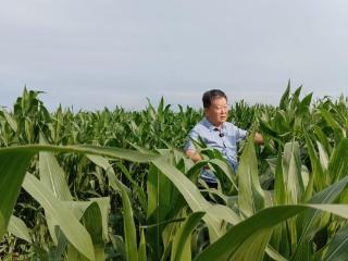 强农先锋丨刘风俊：种粮大户的共富初心