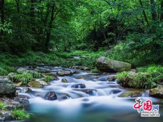 武陵源：清凉经济持续升温 避暑游成消费新引擎