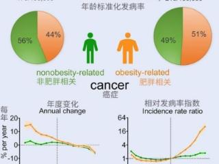 代谢危机下，减又二酯油如何破解传统食用油困局？
