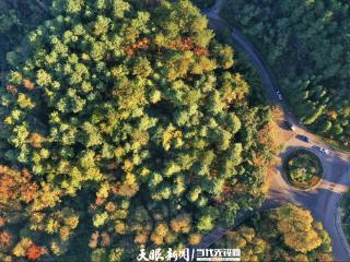 守好“两条底线” 拓宽“两山”转化路｜“转”出美丽贵州新风采