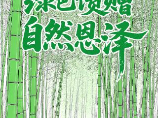 “绿”动贵州｜赤水竹海：锁泥沙、生金子、醉游人，一竹三吃