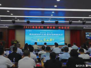 新型家财险“聊家保”焕新上线，为聊城家庭筑起全方位保障防线