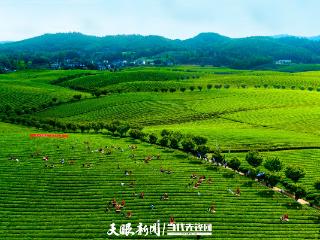 全国生态日｜“AI+人工”音乐好听！“多彩贵州”里的《绿水青山是金山》