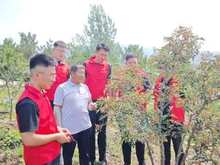 以“一部手机+一场直播”响应数字乡村国家战略——莱芜职业技术学院暑期“三下乡”社会实践活动