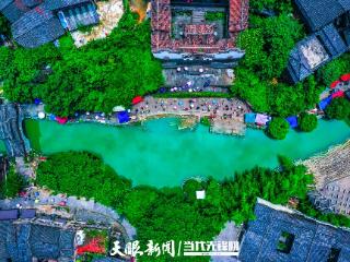 G视觉｜绿色脉动——贵州的生态故事