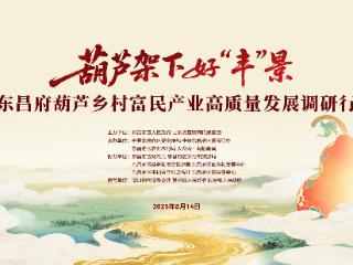 葫芦架下好“丰”景 | 不爱高薪爱家乡，聊城大学生掀起返乡种葫芦“热潮”