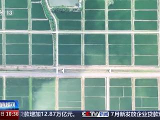 大模型、无人机成田间地头新帮手 秋粮生产保障“升级”中