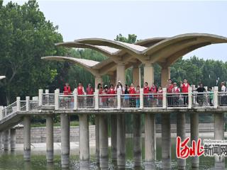 石家庄市新华区：守护美好家园 志愿者在行动
