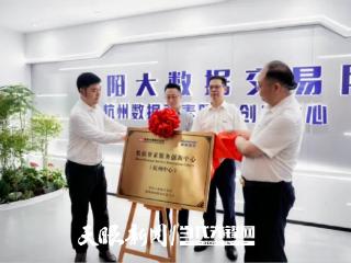 数据要素跨域融合再突破！数据要素服务创新中心（杭州中心）正式成立
