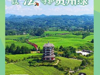 互动视频丨保护生态，我们是认真的！ 以“法”守护贵州绿