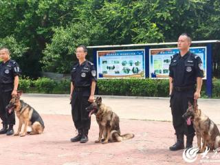寻找我身边的温暖丨30分钟！报告，潍坊“汪汪警官”圆满完成任务