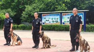 寻找我身边的温暖丨30分钟！报告，潍坊“汪汪警官”圆满完成任务