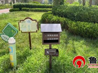 德州市陵城区临齐街道：“花小钱办大事”书写基层治理暖心篇章