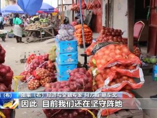 刚果（布）学者：美国无视规则 随意挥舞关税大棒