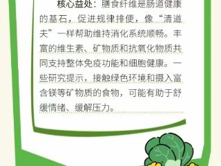济南市中西医结合医院：多彩饮食 健康生活