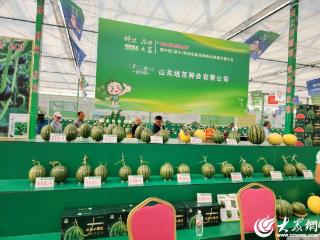 潍坊昌乐培茁种业：数字赋能，“慧”就现代农业“新蓝图”