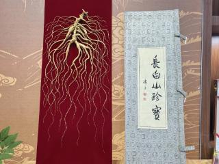 参龄220年野山参神秘闪现？地点就在……