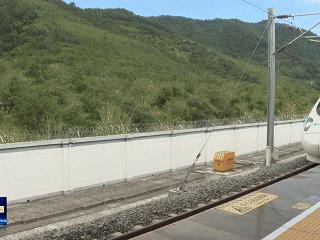 丹江口市小水滴志愿者黄祥伟参加全国生态日主场活动归来