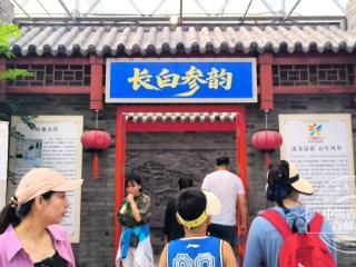 人参可以这么美！长白参韵，带你看不一样的人参