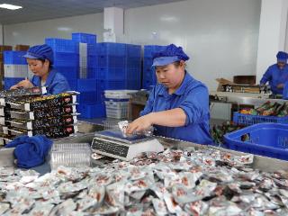 安顺经开区：避暑“顶流”带动旅游商品“热流”