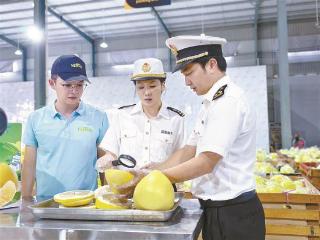 全国首次 平和新鲜蜜柚出口新西兰