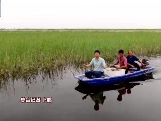 沙漠里也能养海鲜、种水稻？看新疆如何“点沙成金”