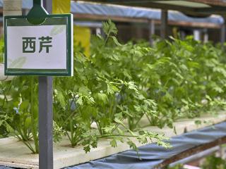 中奖名单来啦！快看看有没有你