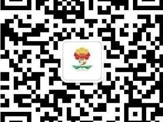 2025年菏泽市牡丹区点将台路小学招生公告