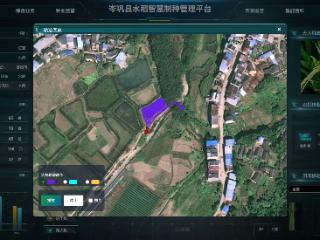 有个会思考的“智慧大脑”岑巩水稻制种成本降低30%